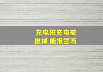 充电桩充电被拔掉 能报警吗